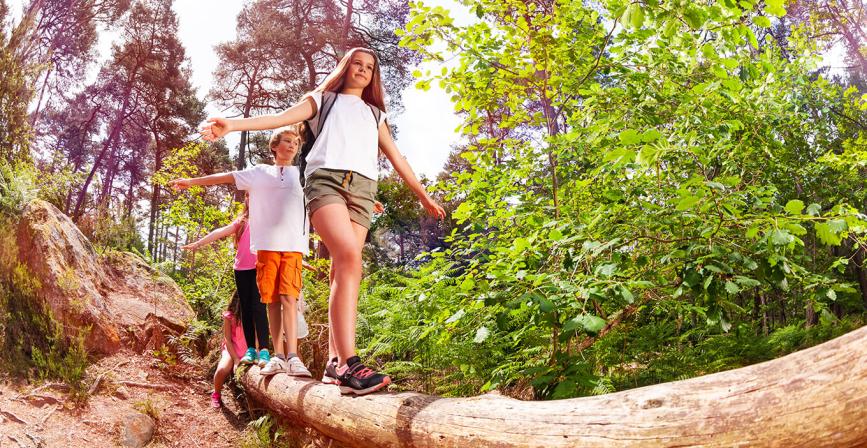 HDL News Geschafft