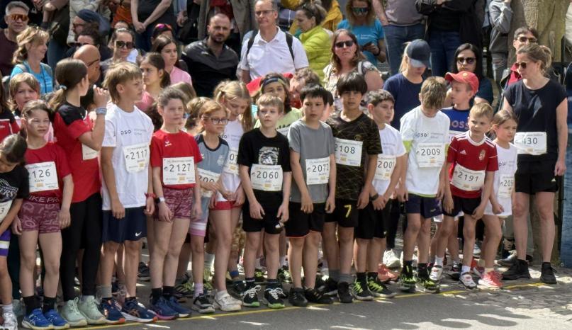Rheinfelden Stadtlauf