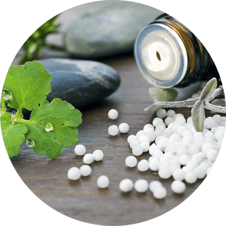 HWS Testimonial Akamdie f&uuml;r Naturheilkunde ANHK Naturheilpraktiker Ausbildung